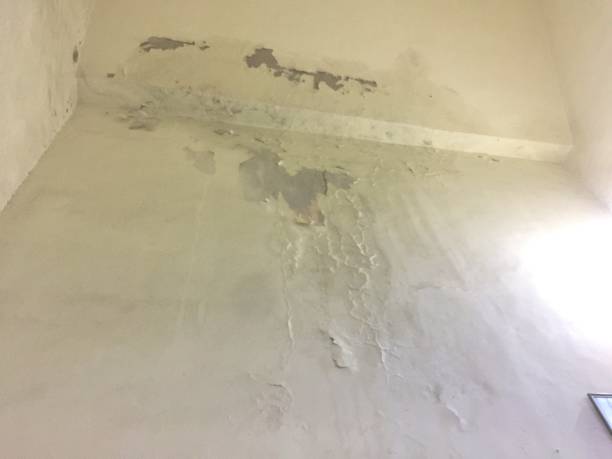istock Wall damage due to water leakage 1180391208