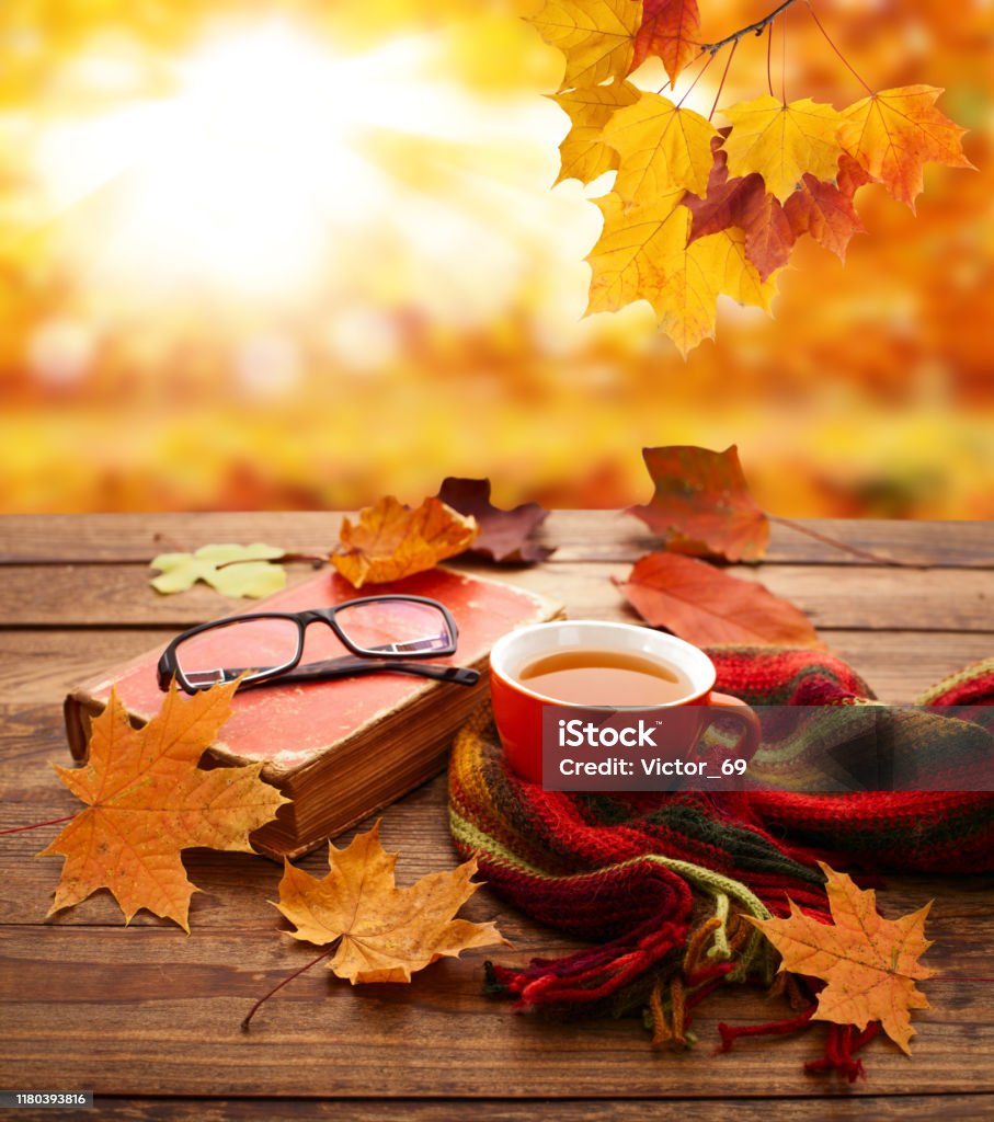 Bối Cảnh Mùa Thu Lá Mùa Thu Sách Và Tách Trà Trên Bàn Gỗ Trong ...