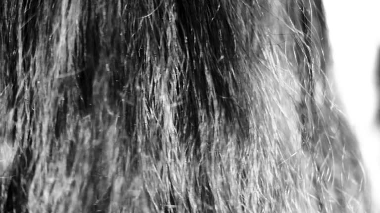 Cinematic shot of brown-colored female hair moving flowing with air.