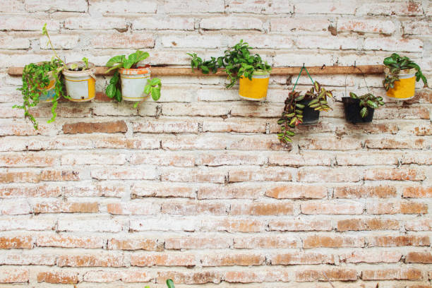 istock Background Flower in Used paint cans hanging on White paint Brick 1180397168