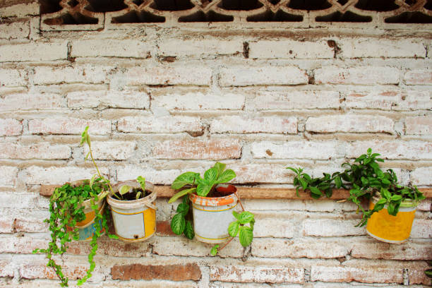 istock Background Flower in Used paint cans hanging on White paint Brick 1180397843