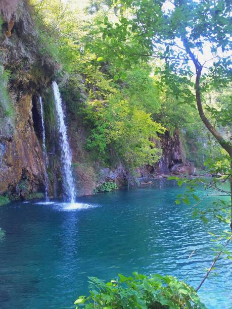 istock Tree,lake,clear water,waterfall flowing motion splash,stone,rock,tree,leaf,plant,grass,sunbeam,Plitvije,Croatia 1180398324