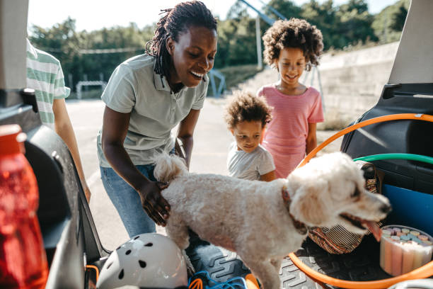 famiglia felice con il loro cane da compagnia che impacchetta le cose nel bagagliaio dell'auto - dog car travel pets foto e immagini stock