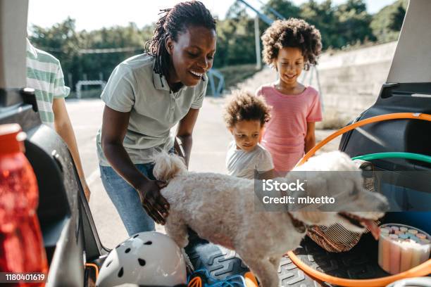 Happy Family With Their Pet Dog Packing Things In Car Trunk Stock Photo - Download Image Now