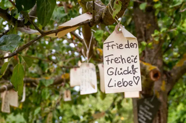 Label with the desire for peace, freedom, happiness and love hangs in a tree