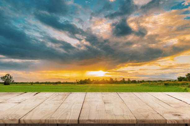закат рисового поля и пустой деревянный стол для отображения продукта и монтажа. - on top of grass scenics field стоковые фото и изображения