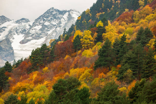istock Mountain landscape with a glacier and autumn forest 1180406227