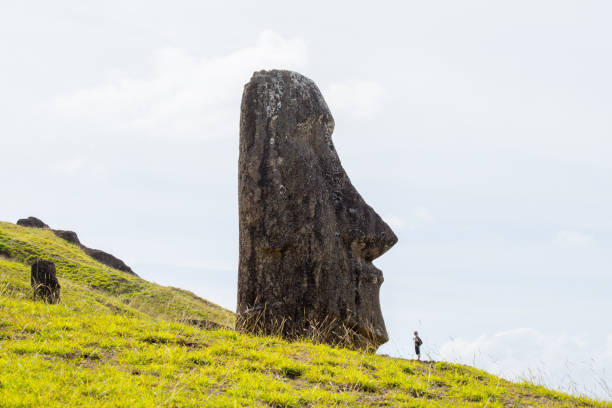 Moais on the outer slopes of Rano Raraku volcano. Rano Raraku is the quarry site where the moais were carved. Easter Island, Chile stock photo