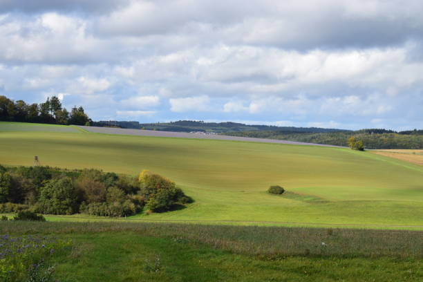istock purple field in Eifel autumn 1180408797