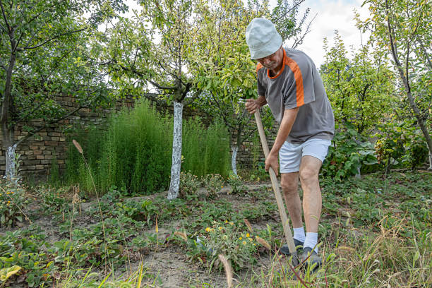 istock Active Older Man Works with the Shovel in his Garden 1180409704