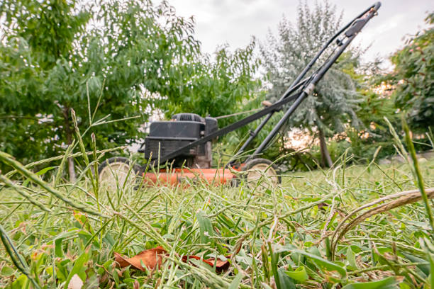 istock Mowing Machine in the Garden 1180409757