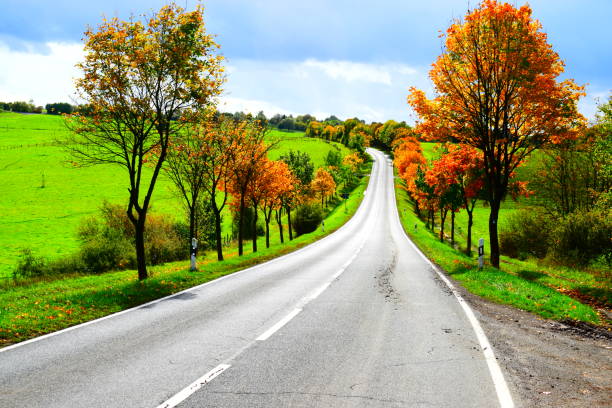 istock autumn avenue in high Eifel mountains 1180411640