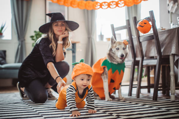 Mother watching baby crawling on Halloween Mother and baby son in costumes at home for Halloween, they playing and crawling,pet dog in costume is with them dog in halloween hat of witch stock pictures, royalty-free photos & images