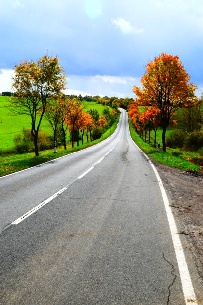 istock autumn avenue in high Eifel mountains 1180412745