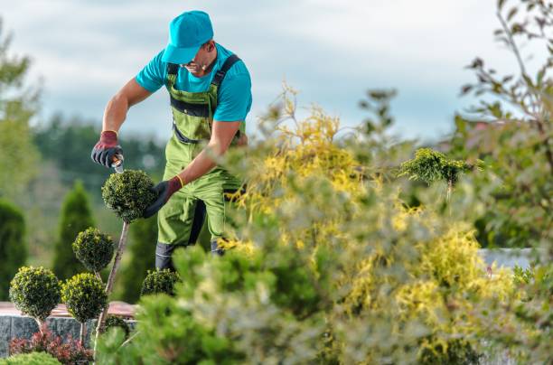 istock Gardener Maintenance Job 1180415592