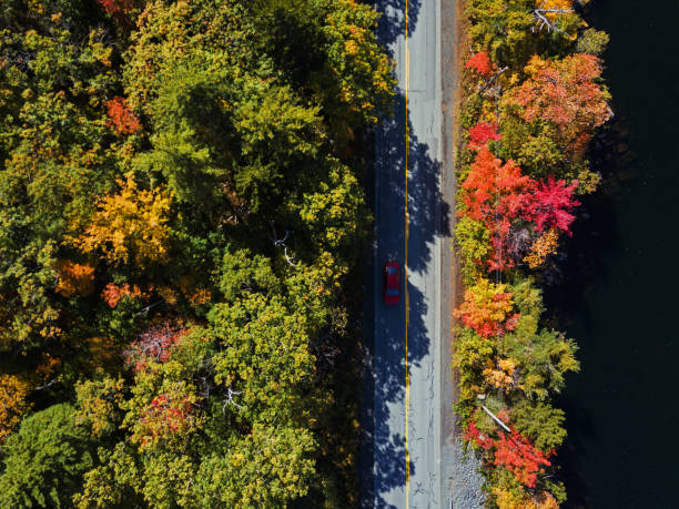 istock Autumn Road Trip 1180416273