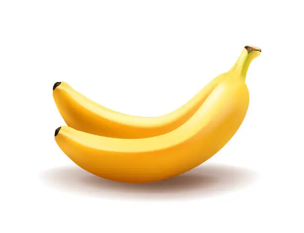 Vector illustration of Realistic pair bananas on white background