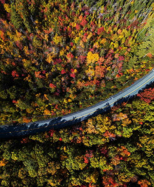 istock Autumn Road Trip 1180416531