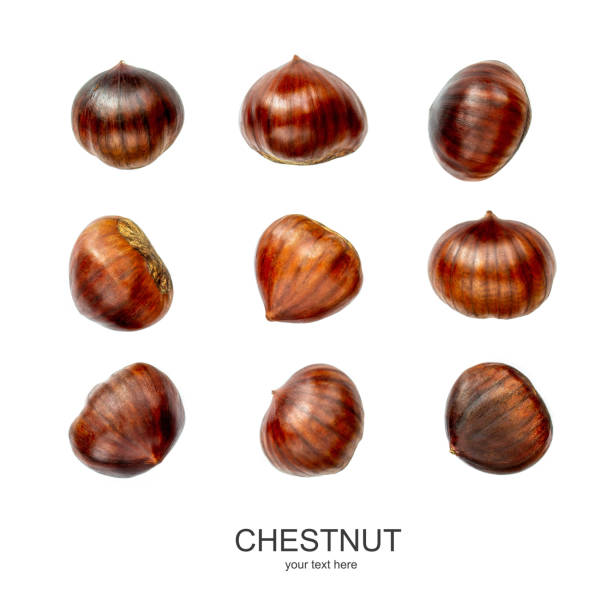 chestnut pattern. creative layout of chestnuts isolated  on white background. top view. flat lay - chestnut tree imagens e fotografias de stock
