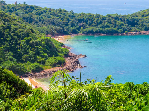 istock Jungle Beach, Unawatuna, Sri Lanka 1180425375