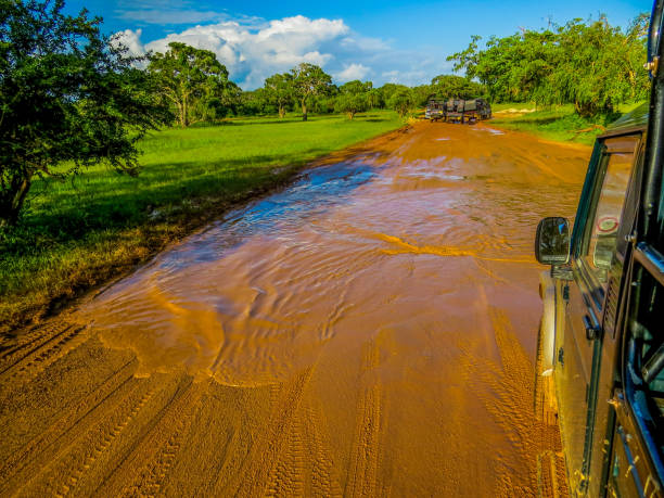 istock Yala National Park, Sri Lanka 1180425612