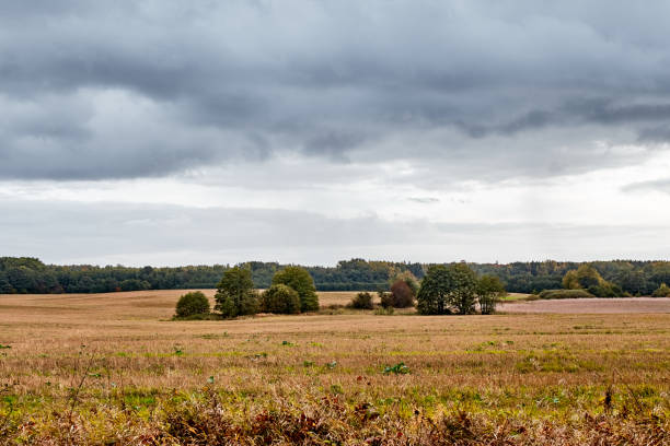 istock Autumn landscape. Dramatic sky and orange field. Leaf fall 1180425667