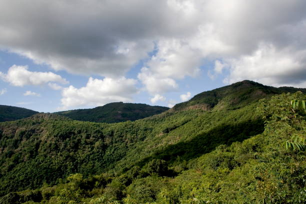 istock Mahdei Wildlife sanctuary ridgeline, Goa- Karnataka border 1180426716