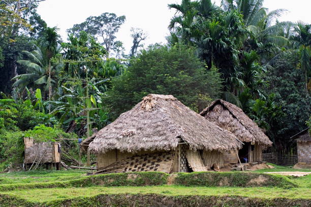 istock Baratang village- Andaman islands. 1180426975