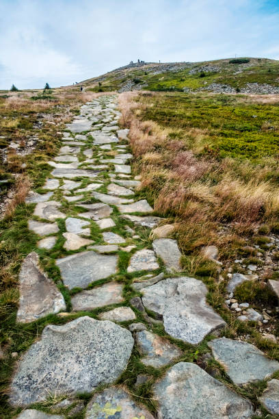 istock Stoned footpath, Babia hora hill, Slovakia 1180432168