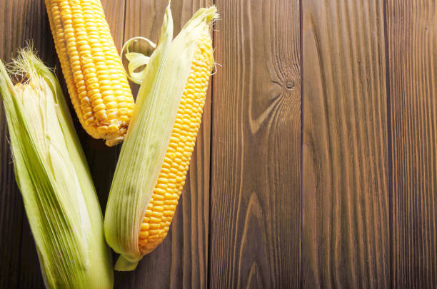 istock Flat lay view at Ripe fresh organic sweet corncobs on wooden table. Space for text 1180432211