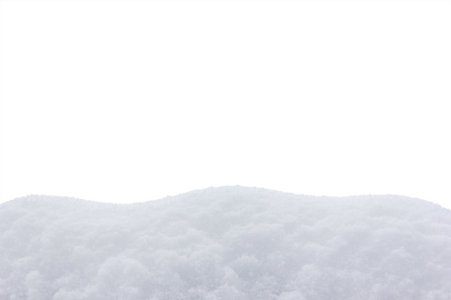 snowdrift isolated on white background close up