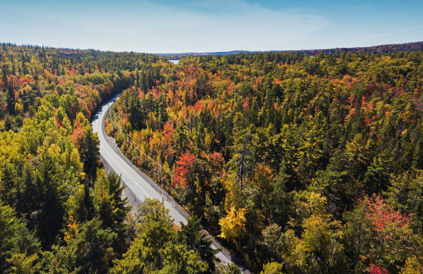 istock Autumn Road Trip 1180441582