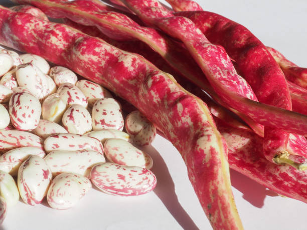 istock crimson beans legumes vegetables food 1180442984