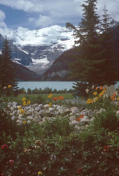 istock Landscape in British Columbia, Canada 1180443575