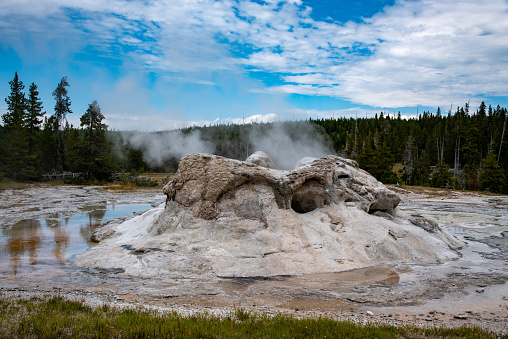 Grotto geyser before an eruption in the upper geyser basin in Yellowstone