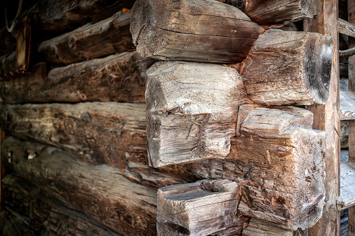 Side view of pile of pine tree logs in a forest after clear cut of forest in Northern Sweden. Very sunny summer day