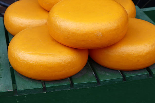 Close up big yellow wheels of hard matured gouda Dutch cheese, high angle view
