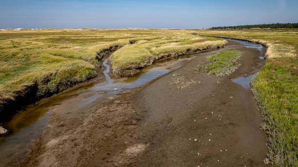 istock Priel in front of Sankt Peter Ording 1180447610
