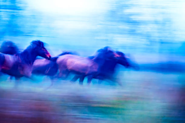 istock Absract nature. Running wild horses. Motion blur background. 1180448197