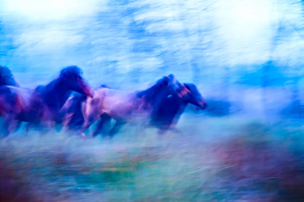 istock Absract nature. Running wild horses. Motion blur background. 1180448226