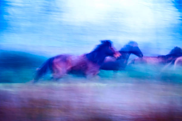 istock Absract nature. Running wild horses. Motion blur background. 1180448377