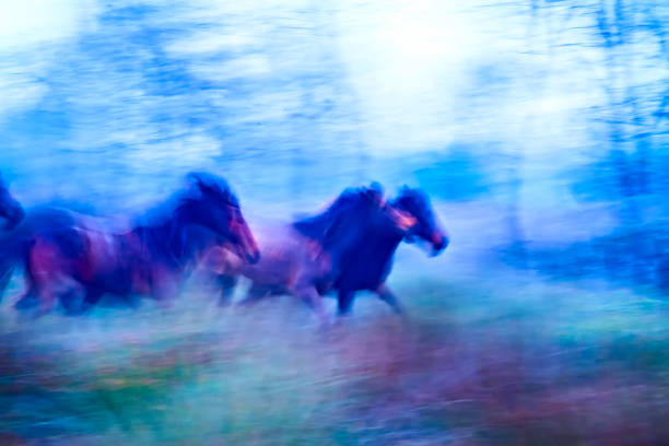 istock Absract nature. Running wild horses. Motion blur background. 1180448460