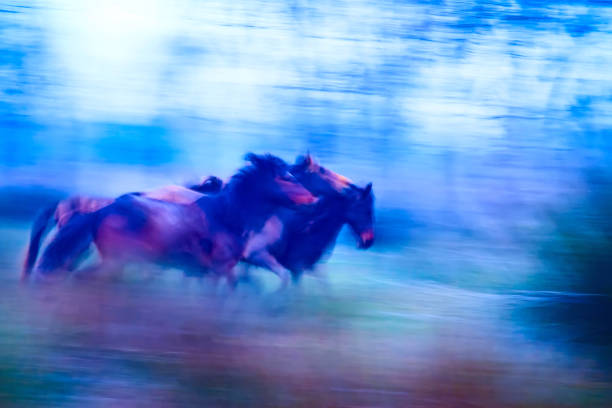 istock Absract nature. Running wild horses. Motion blur background. 1180448533