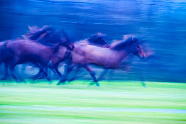istock Absract nature. Running wild horses. Motion blur background. 1180450167