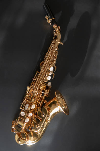 istock Tenor sax golden saxophone macro with selective focus on black 1180450957