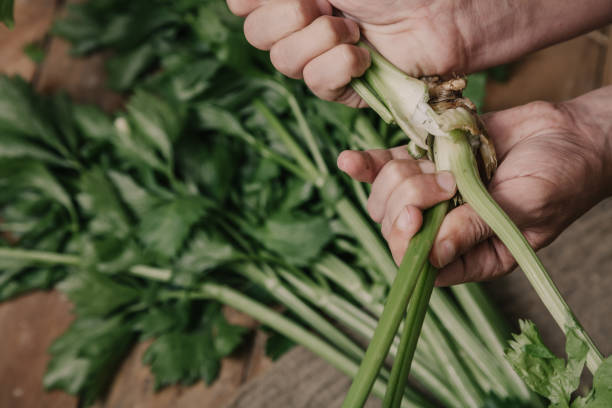 istock Hands share stalks of celery on green beam 1180452055