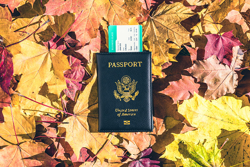 American passport with boarding pass lying on the maple leaves in the autumn forest.  Travel Concept. Top view. Indian summer.