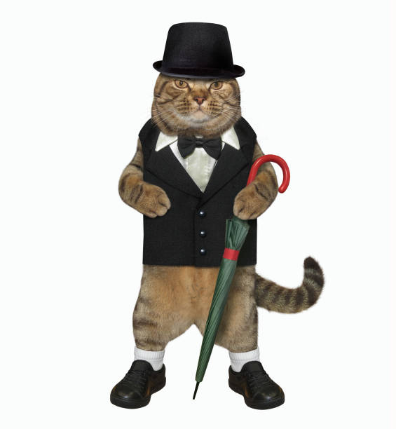 istock Cat gentleman with umbrella 1180456337