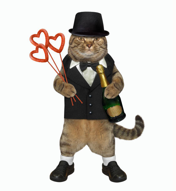 istock Cat gentleman with wine and bouquet 1180456344