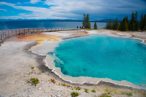 Hot springs in Yellowstone of vivid colors caused by thermophilic bacteria